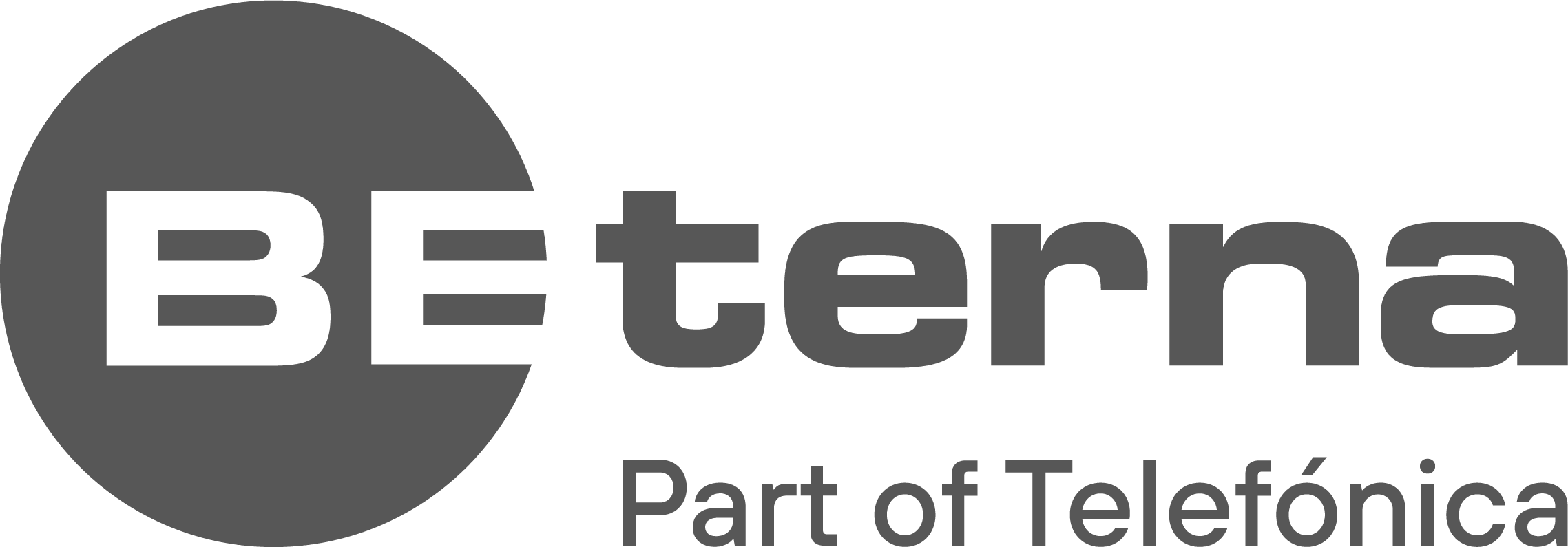 BE-terna-Composite-Logo-RGB Grey (Screen) big